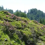 In Near Nassfeld Apartment Tröpolach