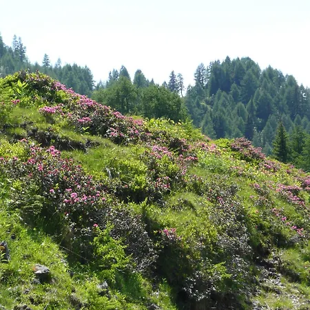 In Near Nassfeld アパート Tröpolach