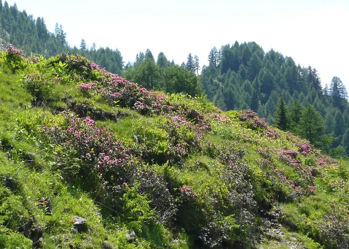 In Near Nassfeld アパート Tröpolach